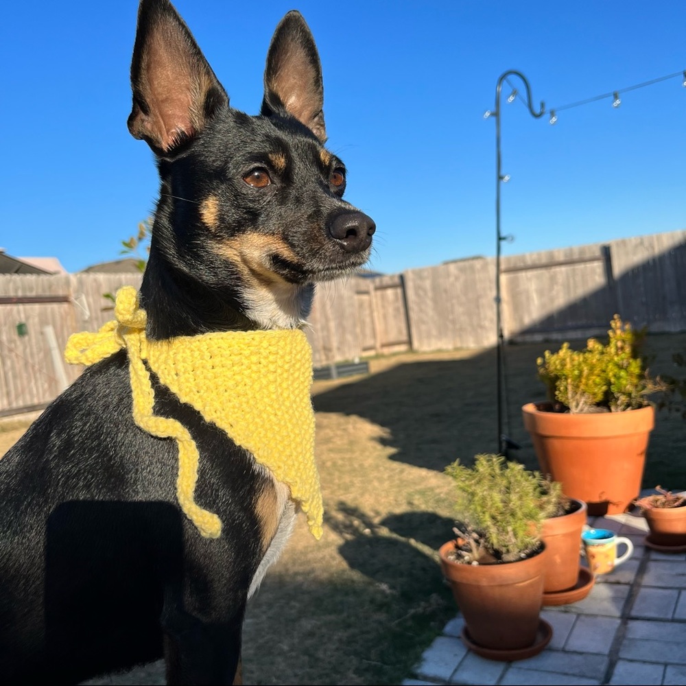 Dog Bandana Hand Knit in USA Western Dog Outfit Tie Scarf